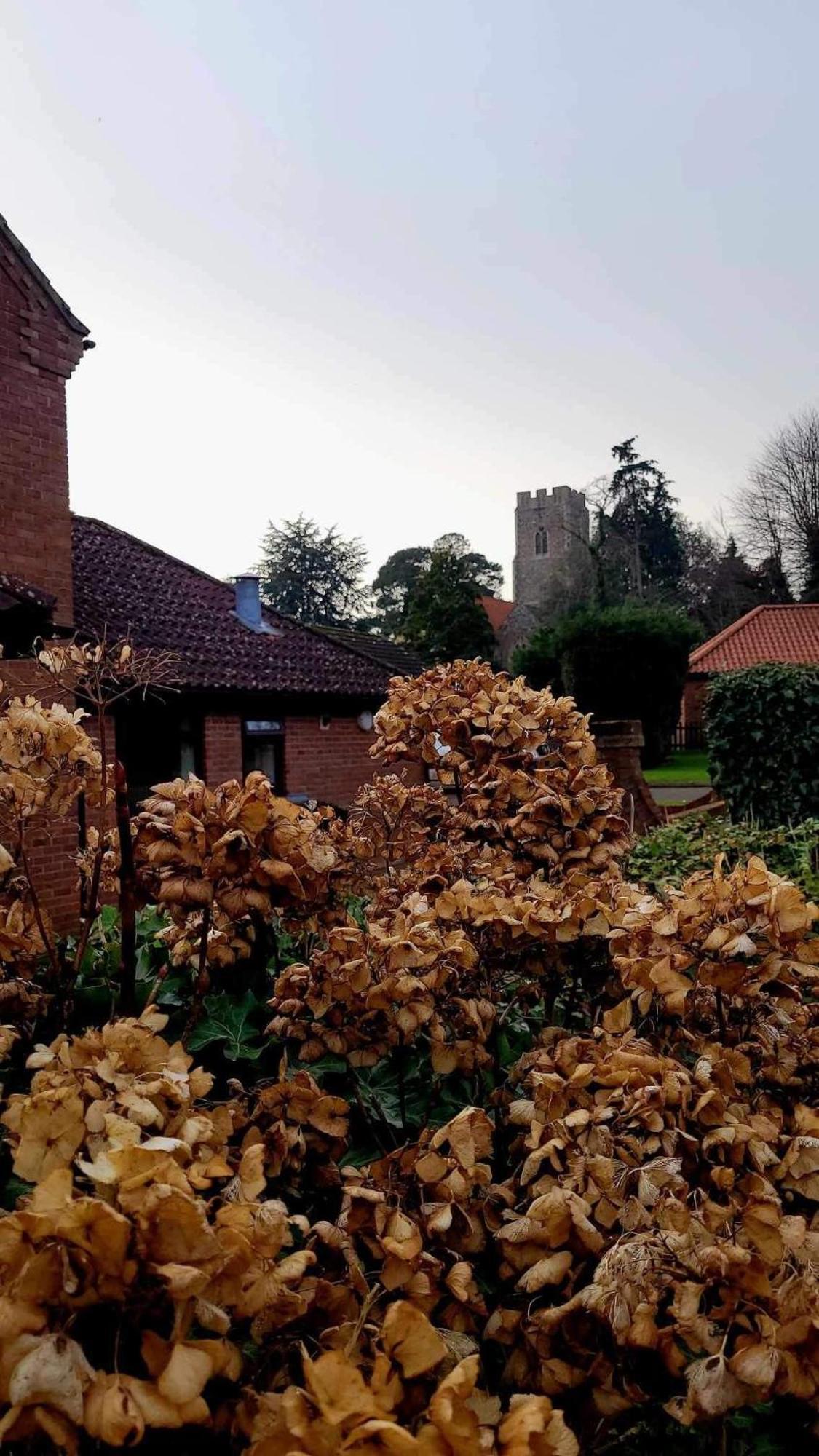 Church Farm Guest House Horsford Exteriér fotografie